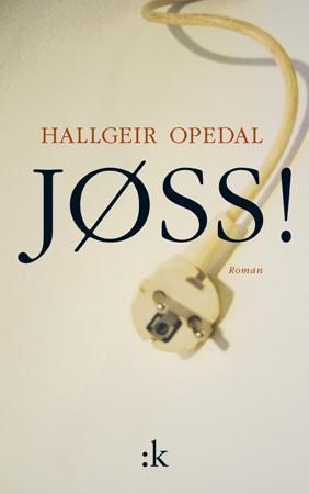 Jøss! : roman