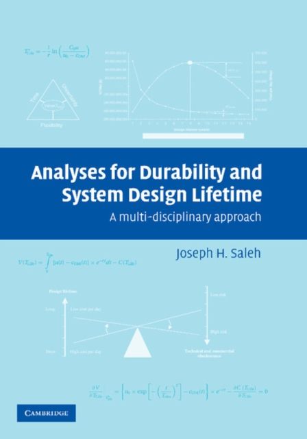 Analyses for Durability and System Design Lifetime : A Multidisciplinary Approach