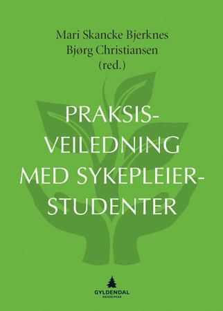 Praksisveiledning med sykepleierstudenter