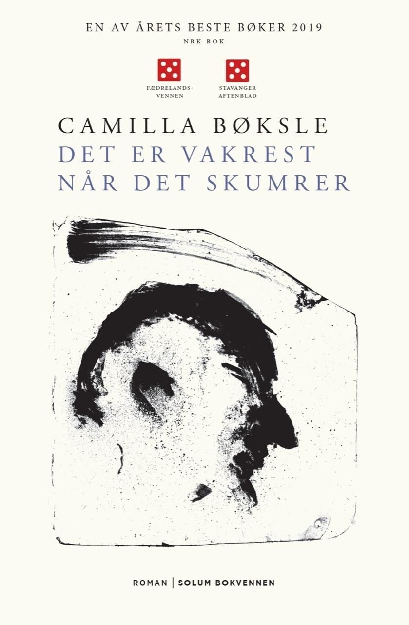 Det er vakrest når det skumrer : roman