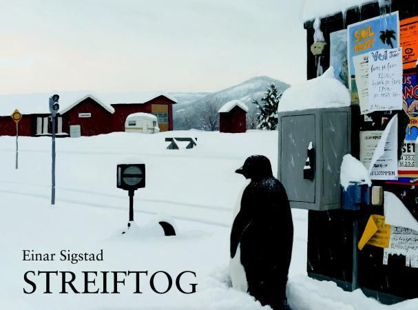 Forsidebilde av Streiftog : en malerisk rundreise i Norge