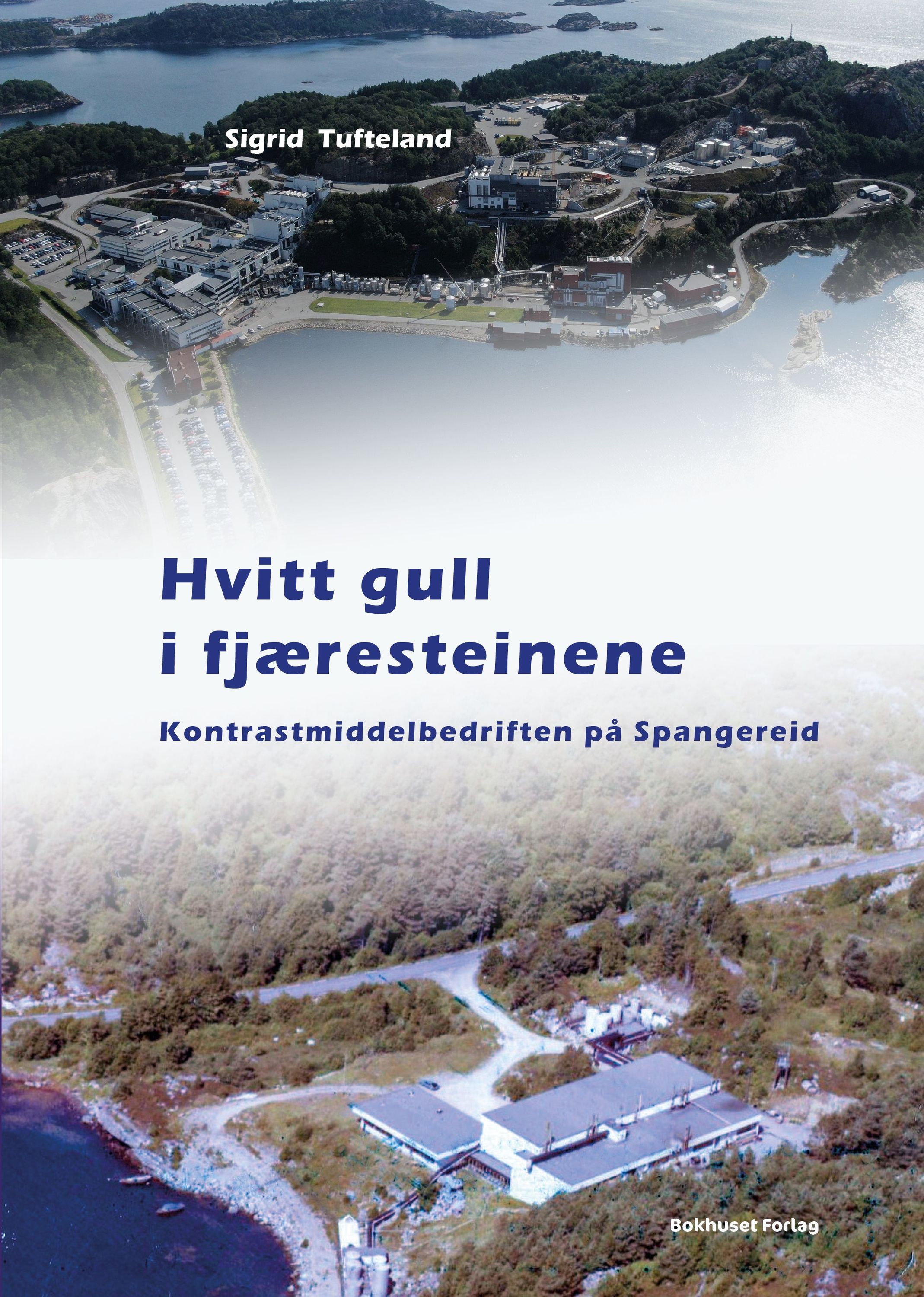 Hvitt gull i fjæresteinene : kontrastmiddelbedriften på Spangereid