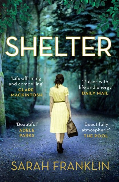 Shelter : ‘One of the year's hottest debuts’