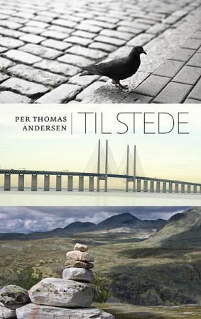 Til stede : essay