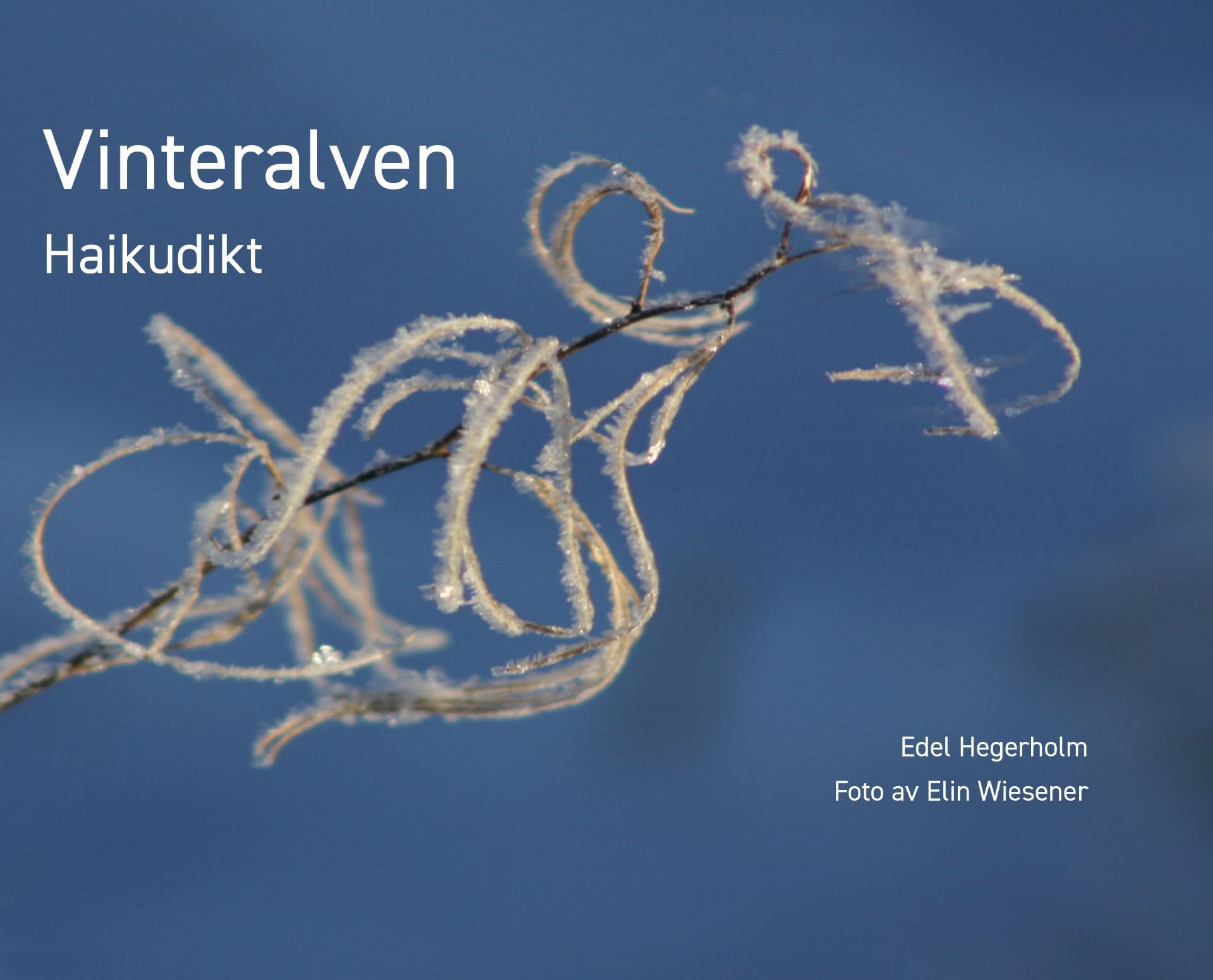 Forsidebilde av Vinteralven : haikudikt