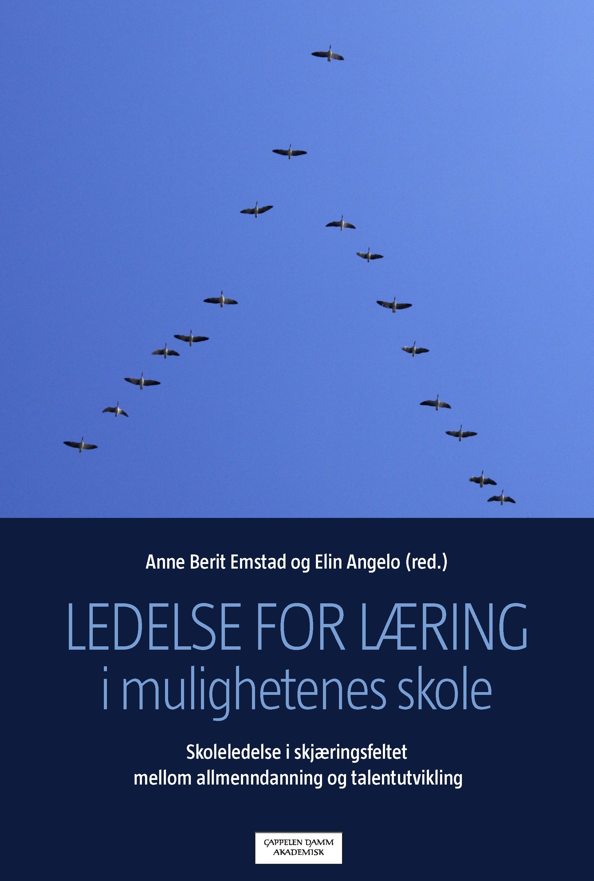 Ledelse for læring i mulighetenes skole : skoleledelse i skjæringsfeltet mellom allmenndanning og talentutvikling