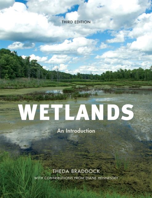 Wetlands : An Introduction