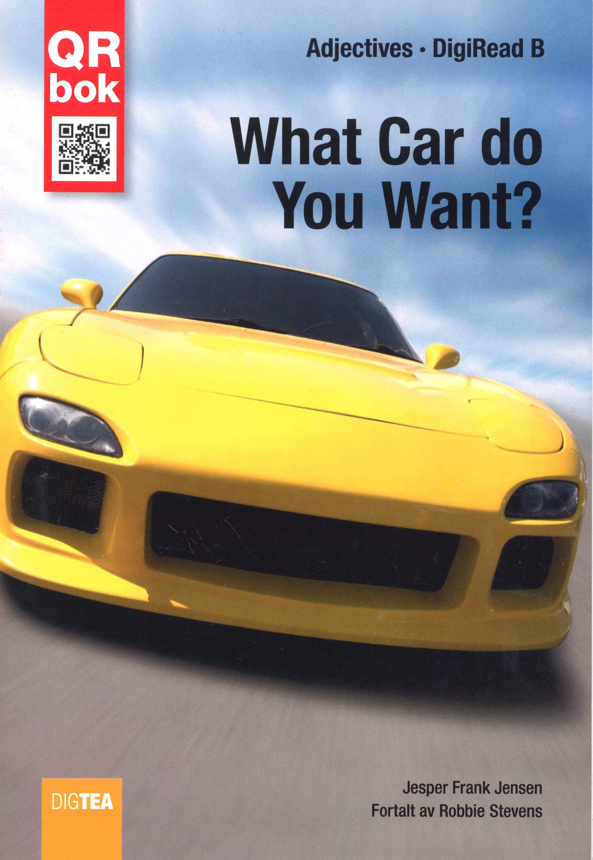 What car do you want?