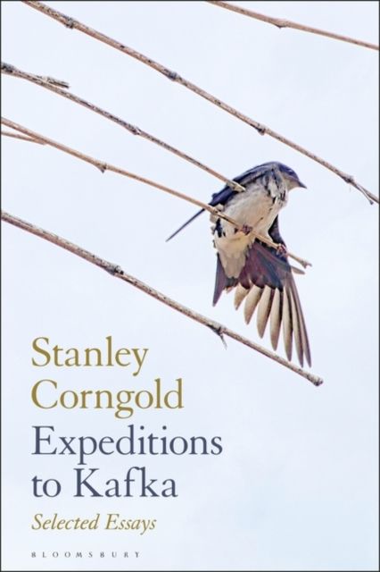 Expeditions to Kafka : Selected Essays