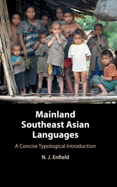 Mainland Southeast Asian Languages : A Concise Typological Introduction