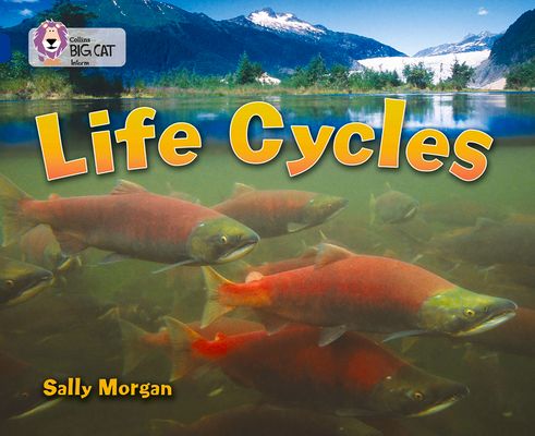 Life Cycles : Band 16/Sapphire