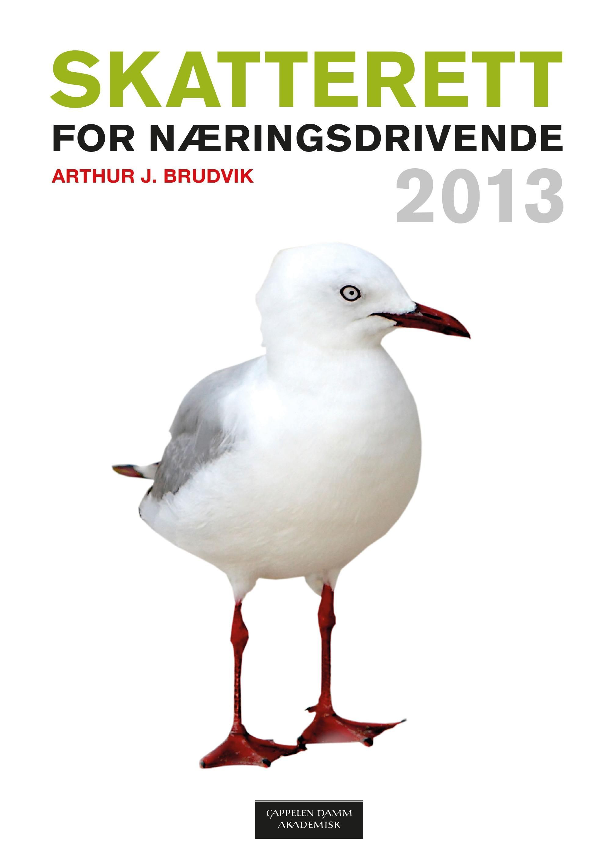 Skatterett for næringsdrivende