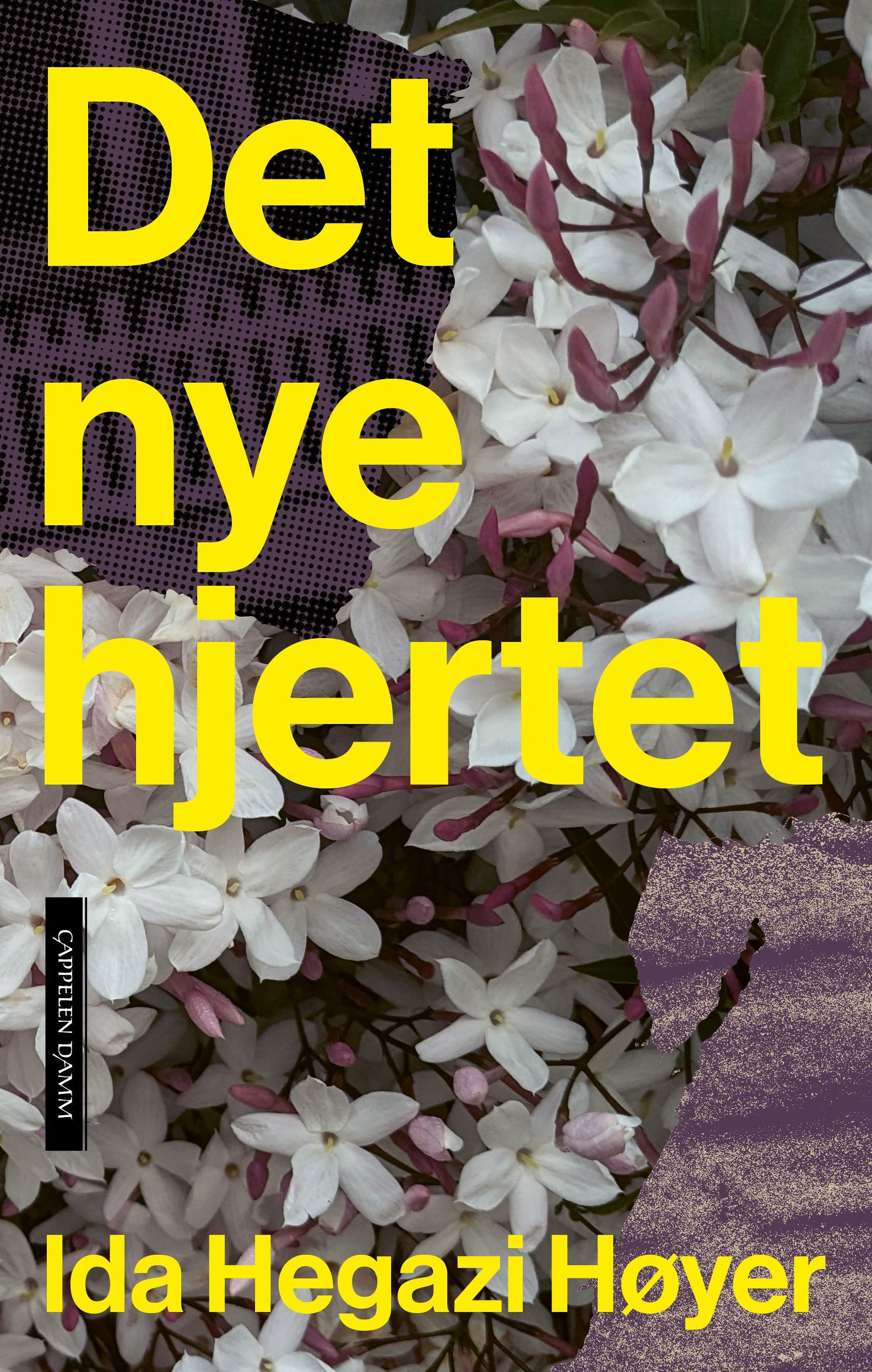 Det nye hjertet