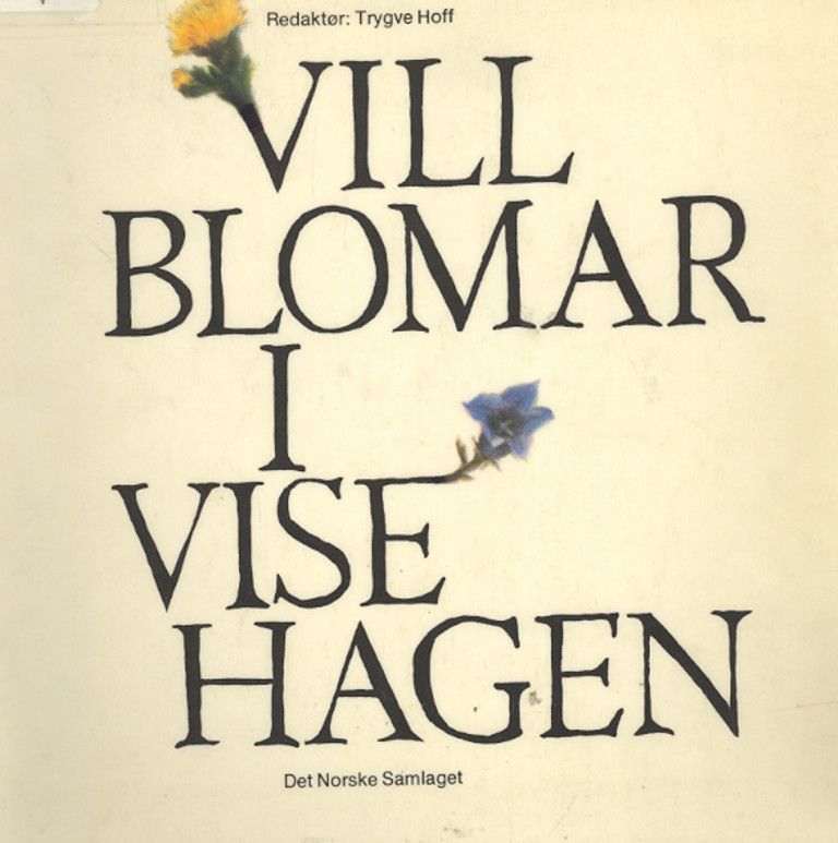 Villblomar i visehagen