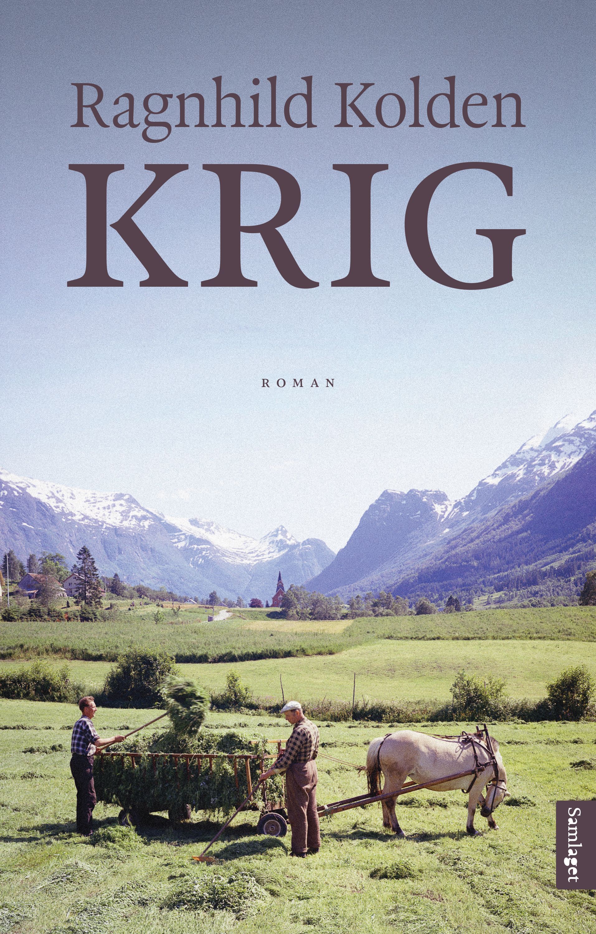 Krig : roman