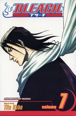 Bleach. vol. 7. The broken coda