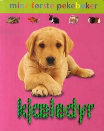 Kjæledyr