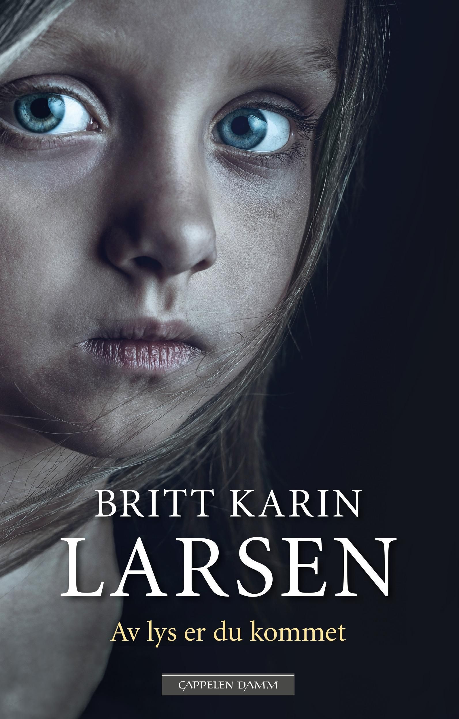 Av lys er du kommet : roman