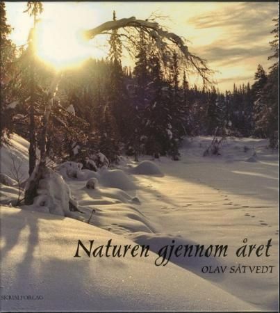 Naturen gjennom året