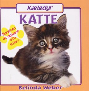Katte : kunsten at oplære sin ejer!
