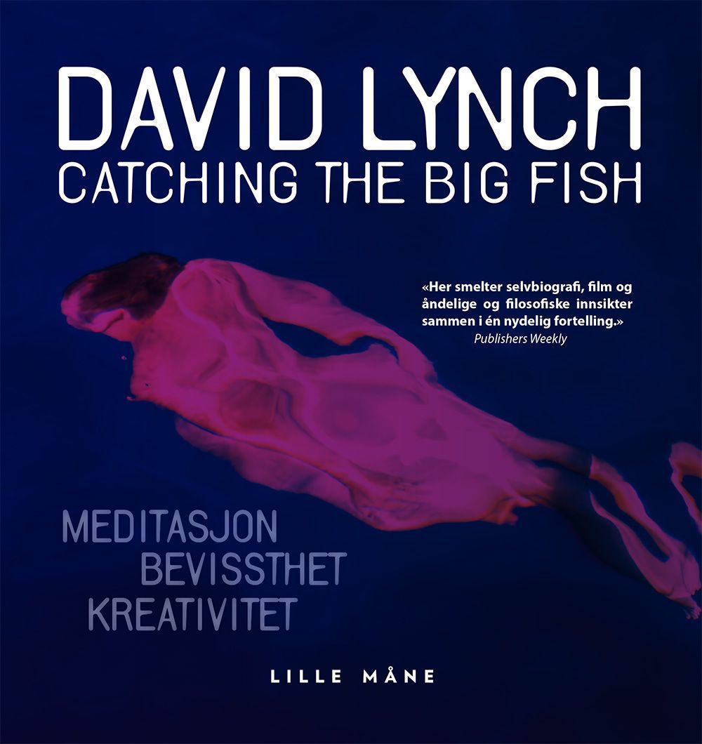 Catching the big fish : meditasjon, bevissthet og kreativitet