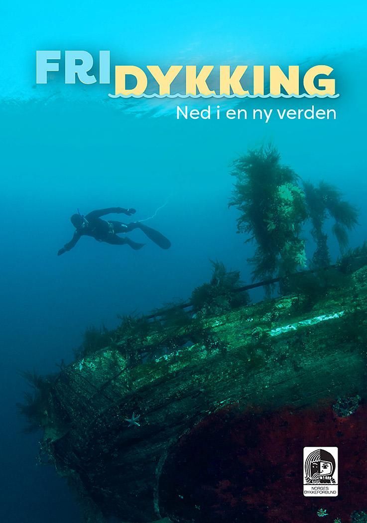 Fridykking : ned i en ny verden