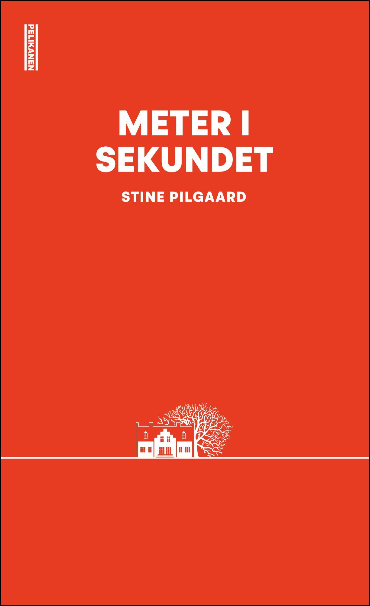 Meter i sekundet : roman