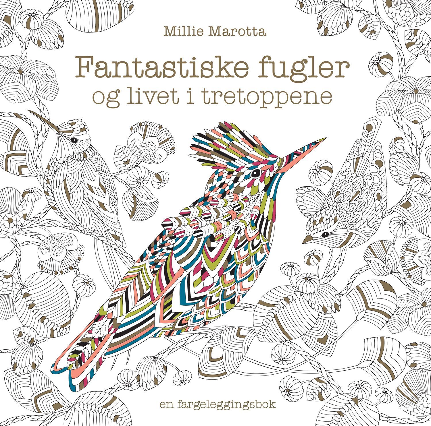 Fantastiske fugler og livet i tretoppene : en fargeleggingsbok