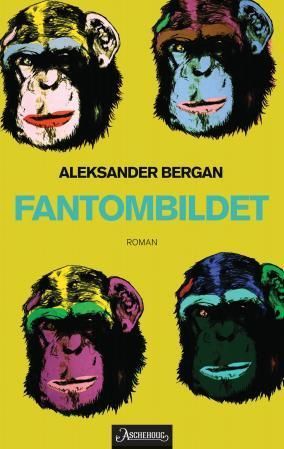 Fantombildet : roman