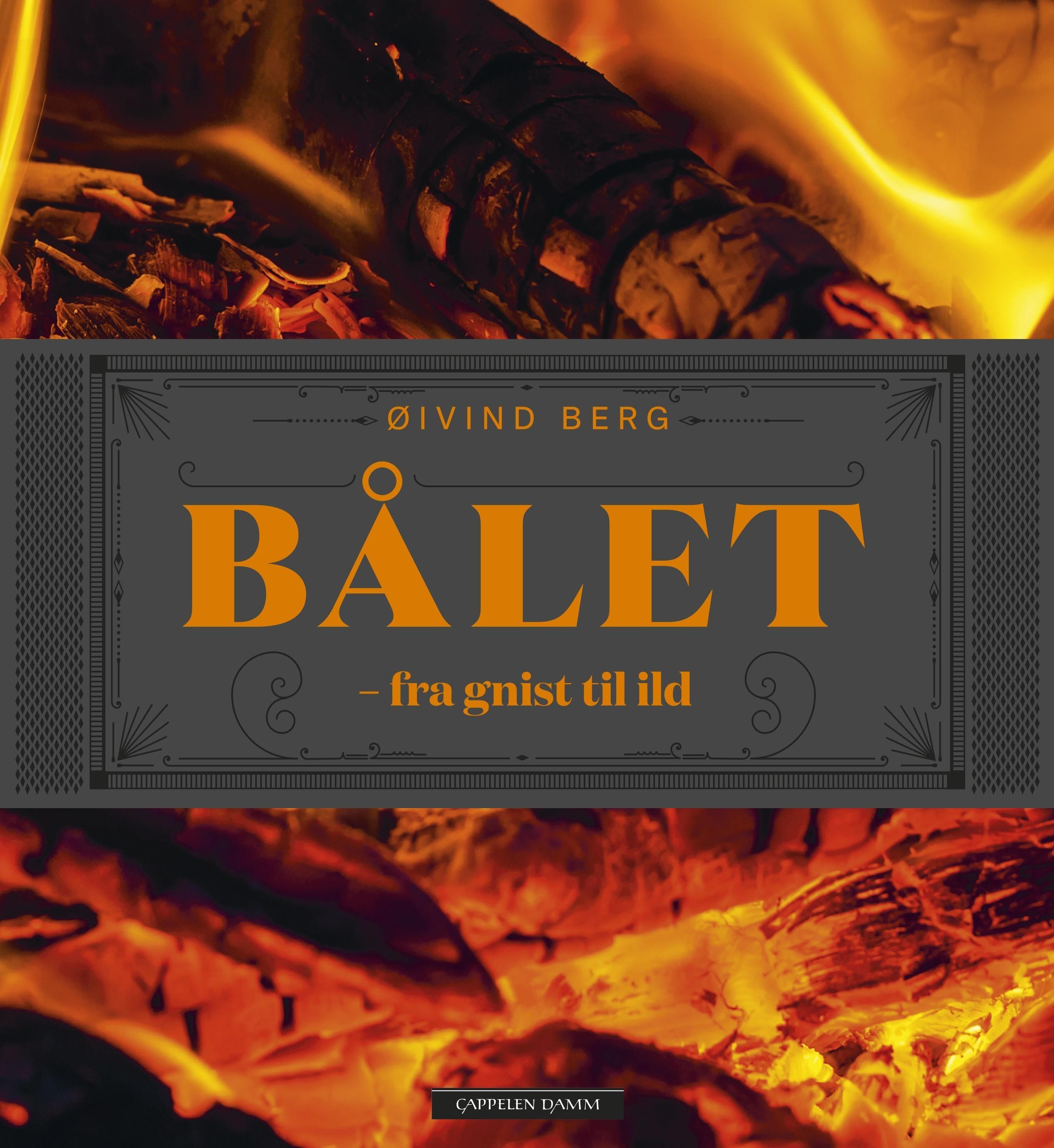 Bålet : fra gnist til ild