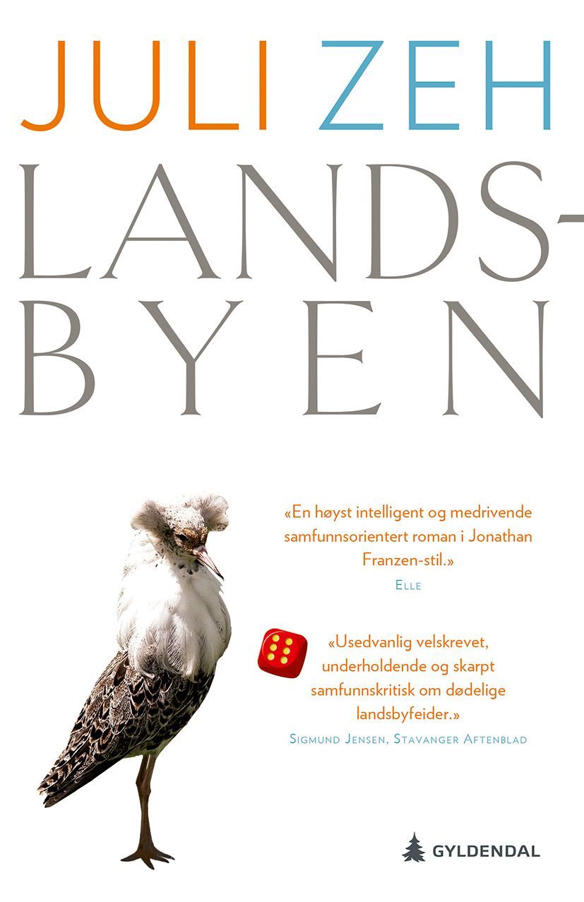 Landsbyen : roman