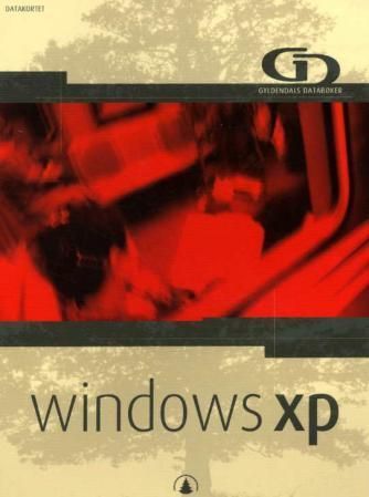 Windows XP professional