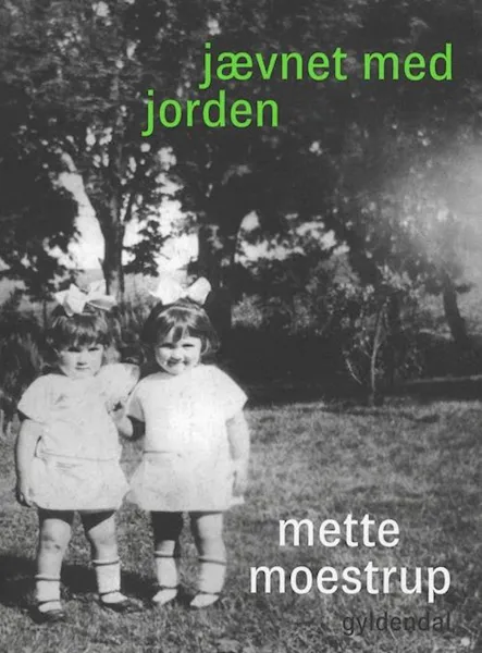 Forsidebilde av Jævnet med jorden