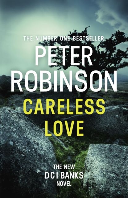The Fool on the Hill : DCI Banks 25