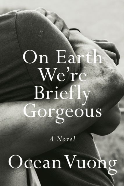 On earth we're briefly gorgeous : a novel