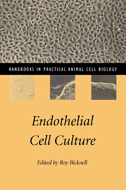Endothelial Cell Culture