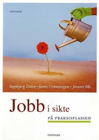 Jobb i sikte : på praksisplassen