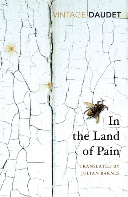 In the land of pain