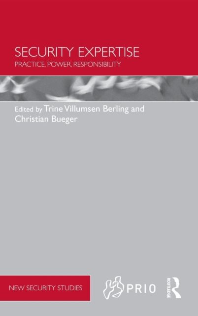 Security Expertise : Practice, Power, Responsibility