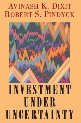 Forsidebilde av Investment under Uncertainty