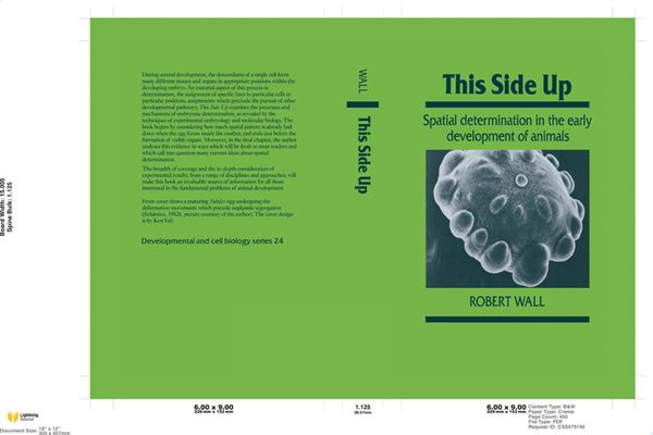 This Side Up : Spatial Determination in the Early Development of Animals