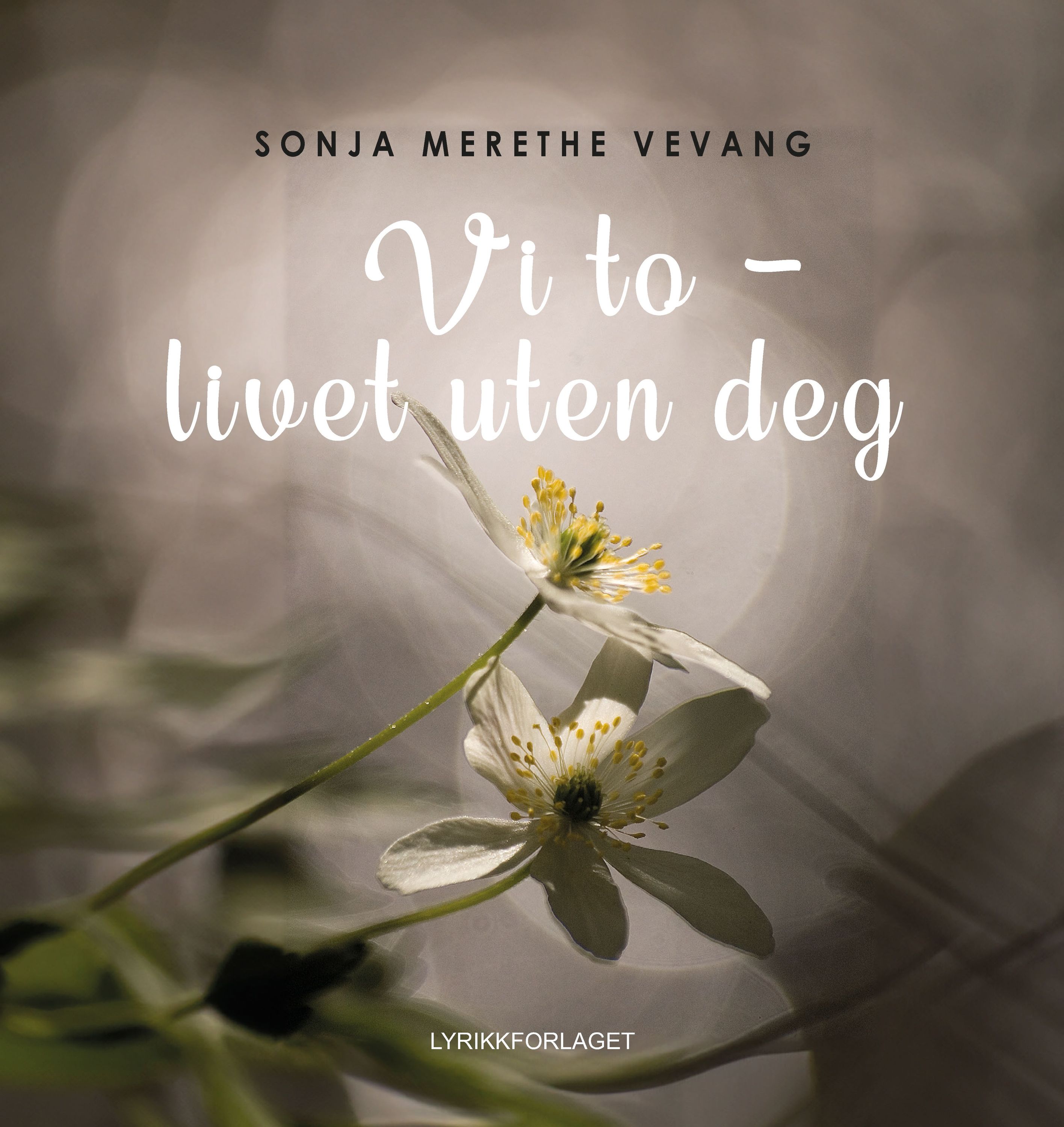 Forsidebilde av Vi to – livet uten deg