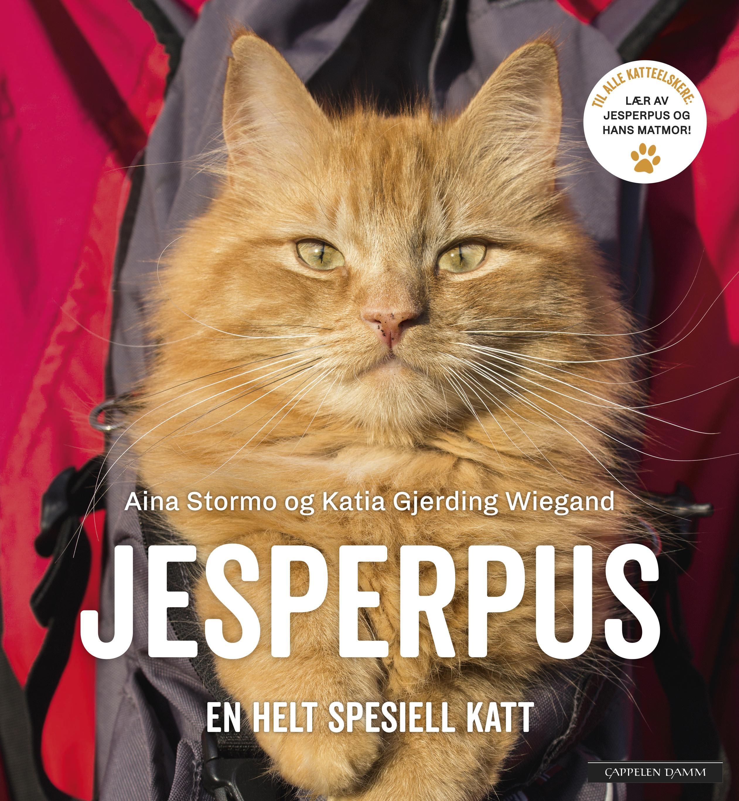Jesperpus : en helt spesiell katt