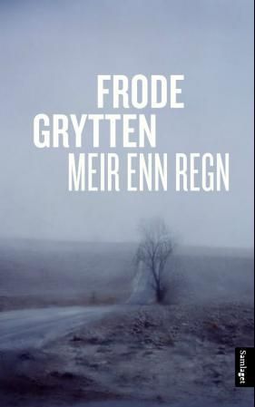 Meir enn regn : noveller