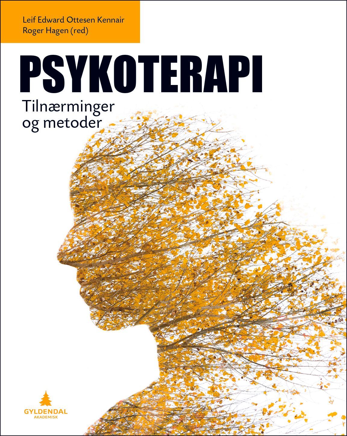 Psykoterapi : tilnærminger og metoder