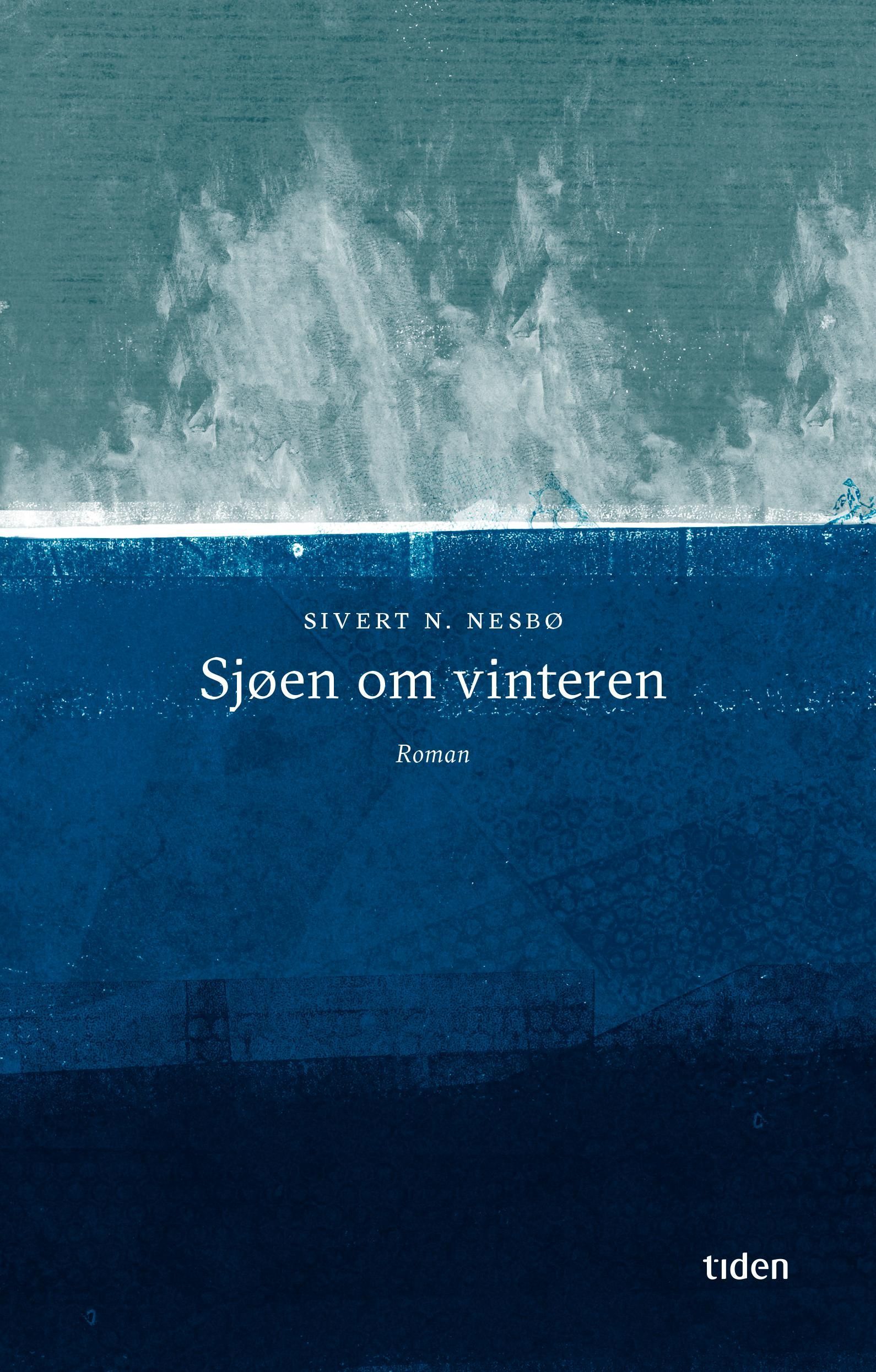Sjøen om vinteren : roman