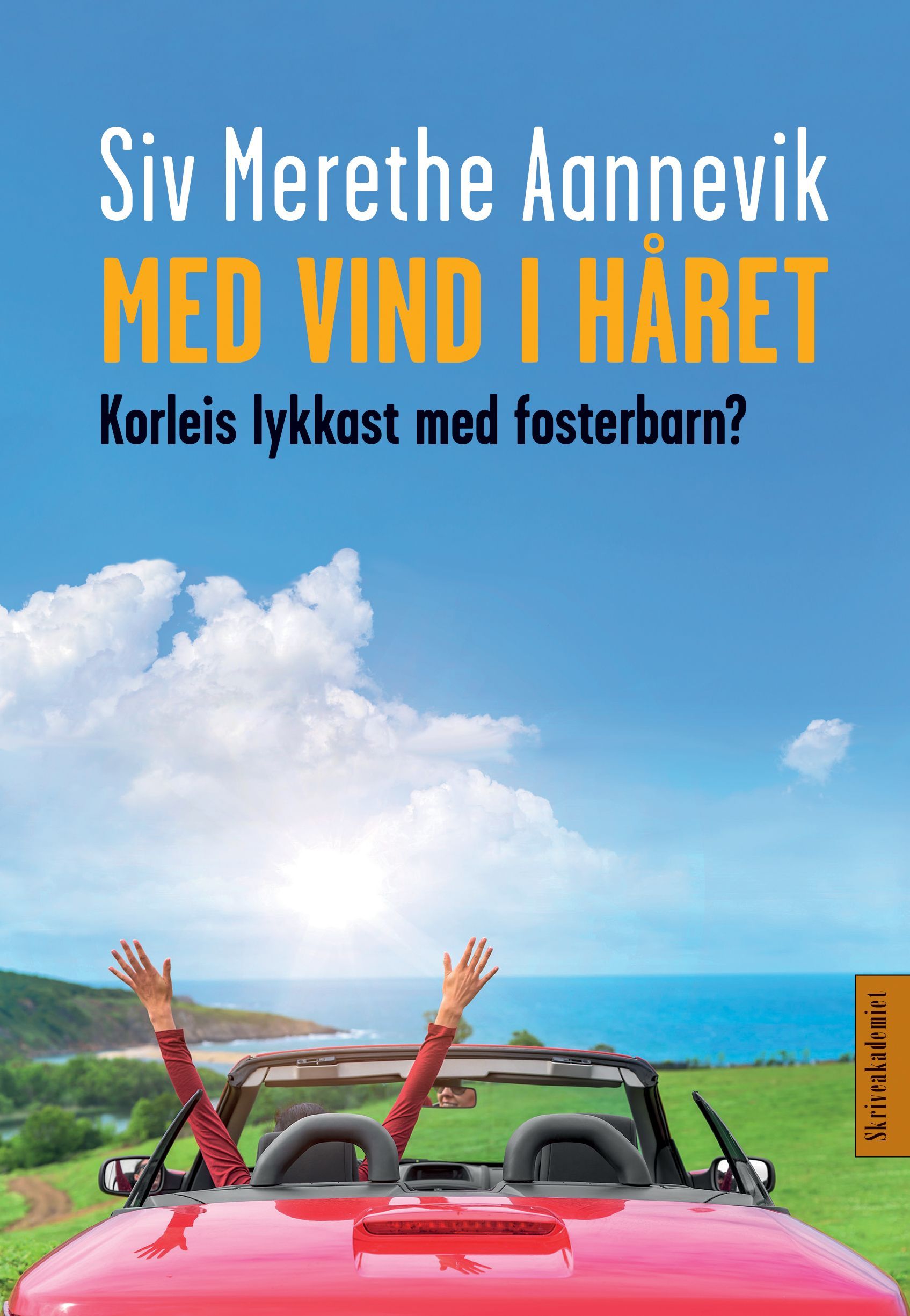 Med vind i håret : korleis lykkast med fosterbarn?