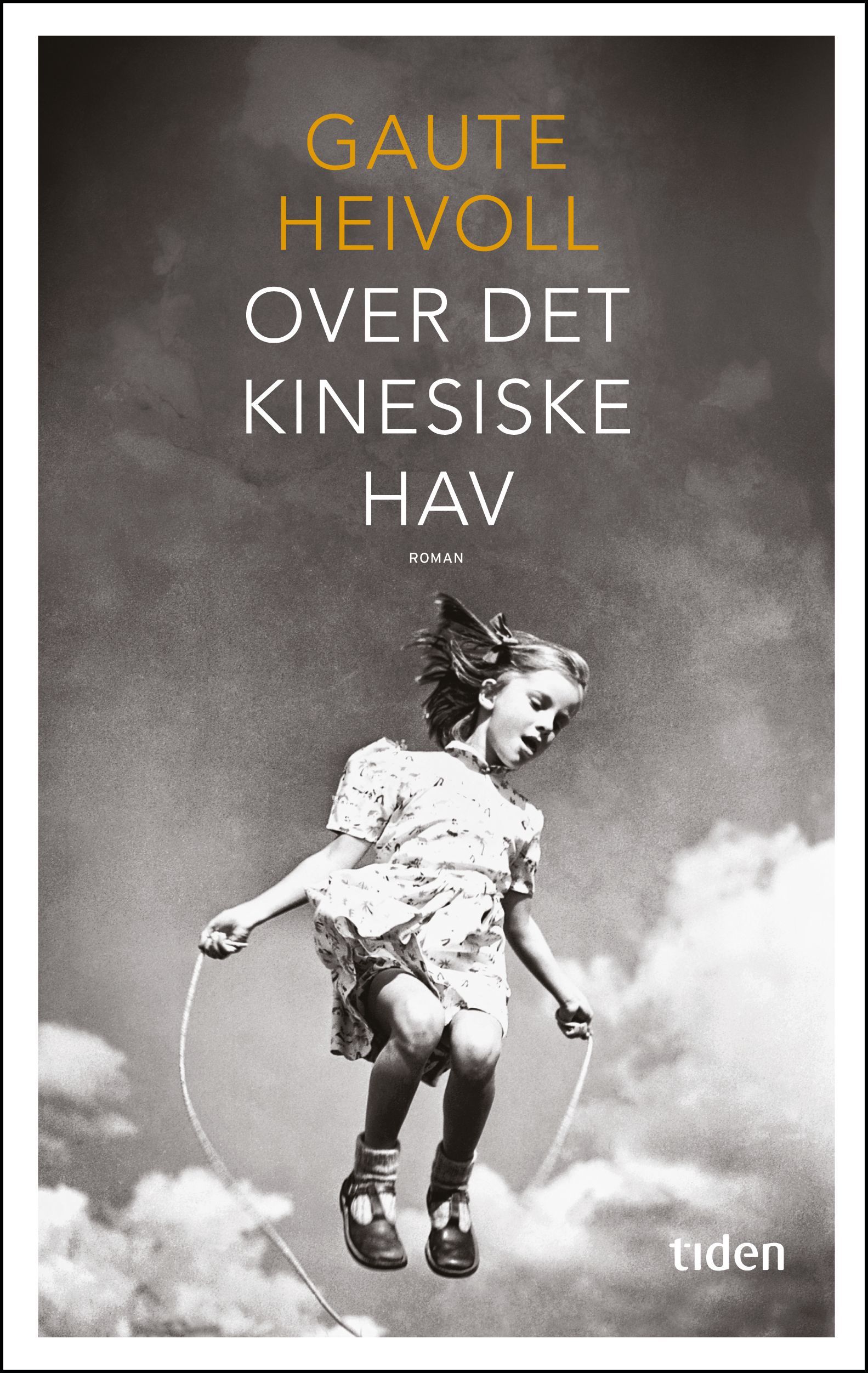 Over det kinesiske hav : roman