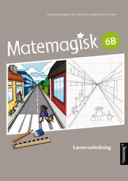 Matemagisk 6B : lærerveiledning