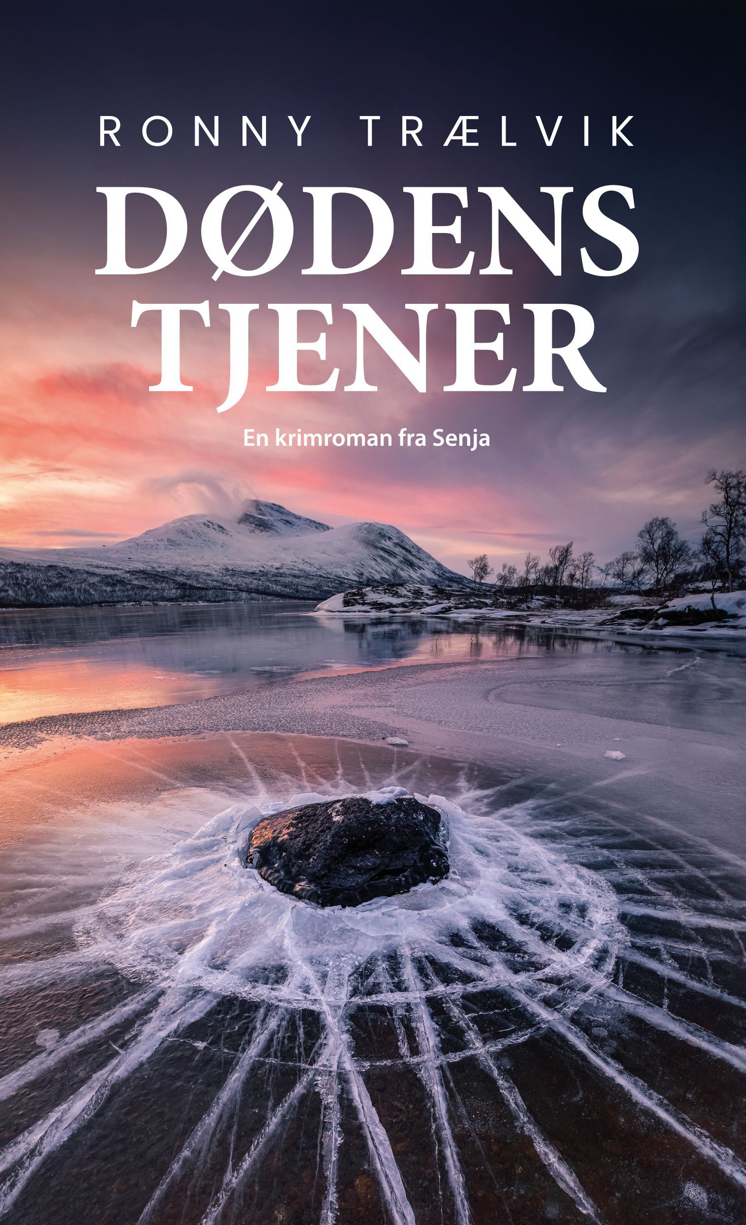Dødens tjener : en krimroman fra Senja
